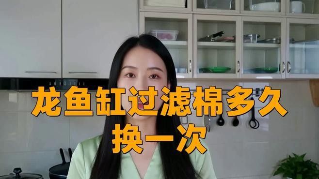 龍魚缸濾材多長時間更換好呢