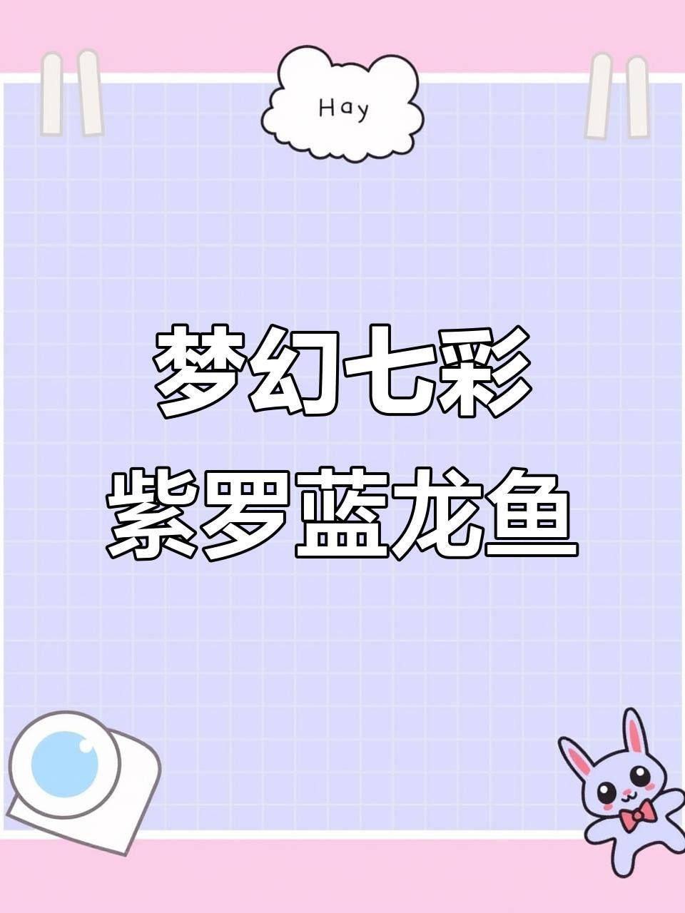 有沒有更多高清龍魚壁紙