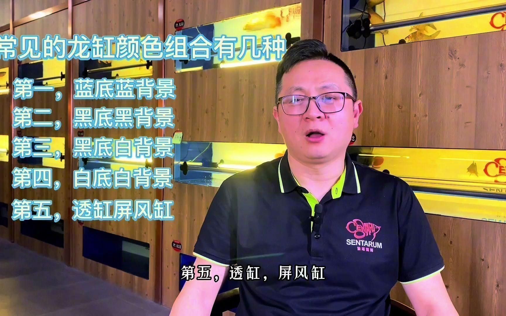 有沒有更多高清龍魚壁紙