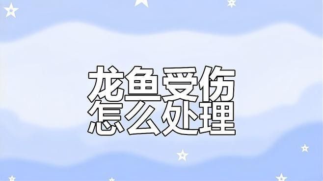龍魚突然瘋狂撞缸怎么辦呢