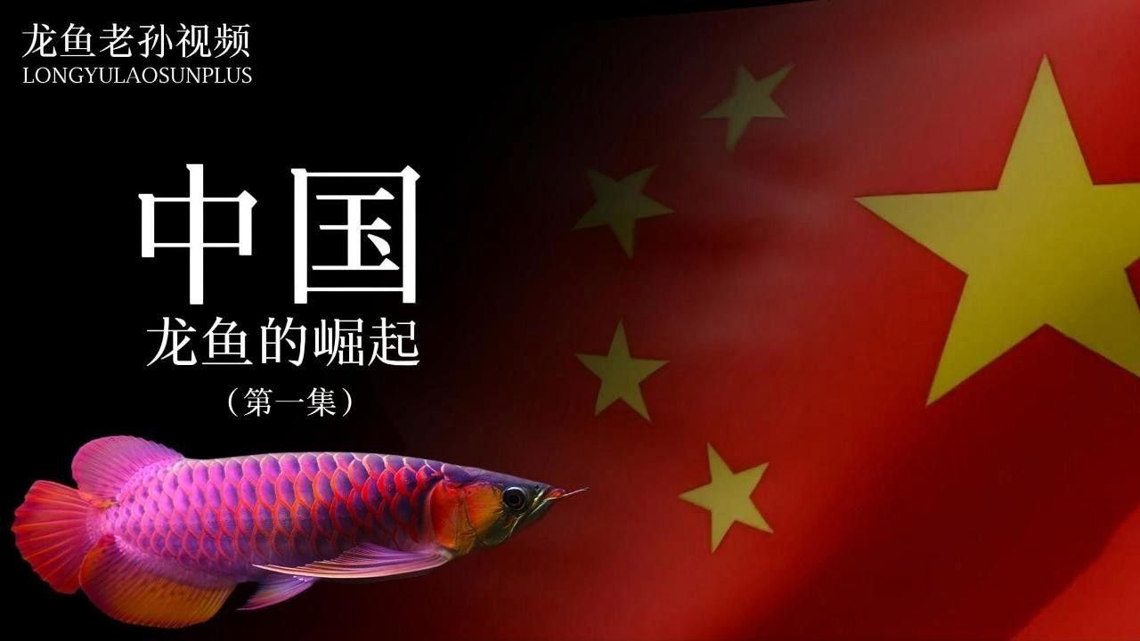 龍魚和烏魚哪個好吃