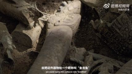 金龍魚的魚鱗有破損怎么處理：金龍魚的魚鱗破損怎么處理