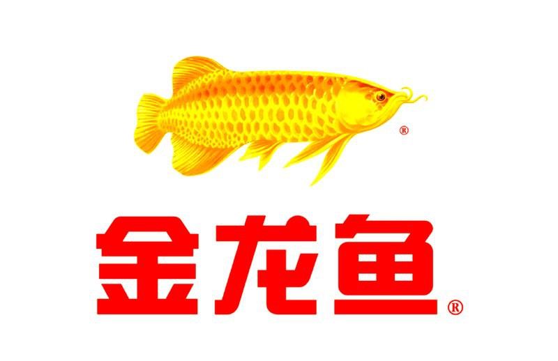 金龍魚私企