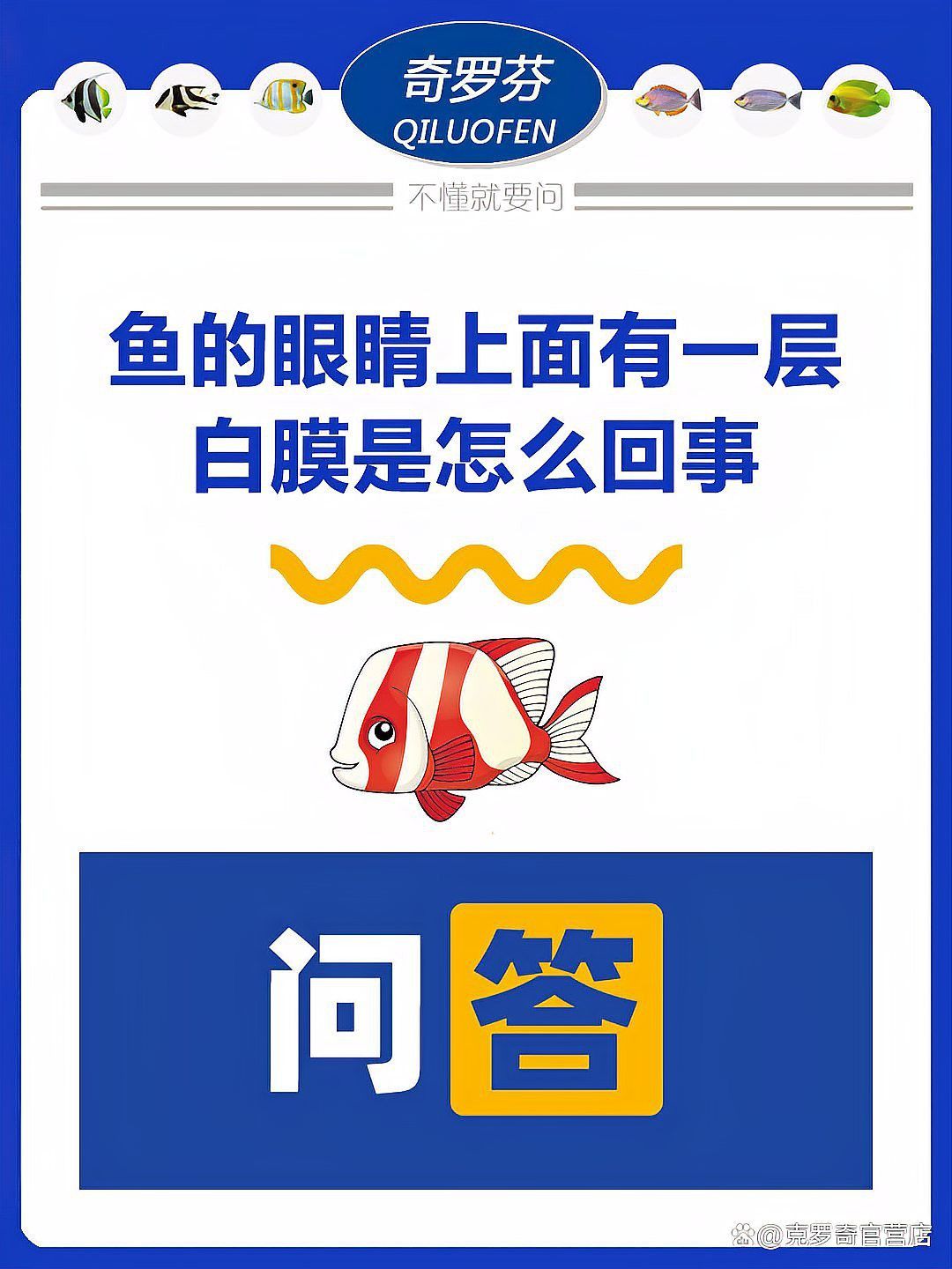 金龍魚眼睛長(zhǎng)了的個(gè)白色東西