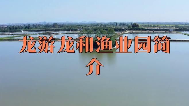 龍游龍和漁業(yè)園簡介