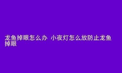 龍魚夜燈放在什么位置（關于龍魚夜燈的最佳擺放位置）