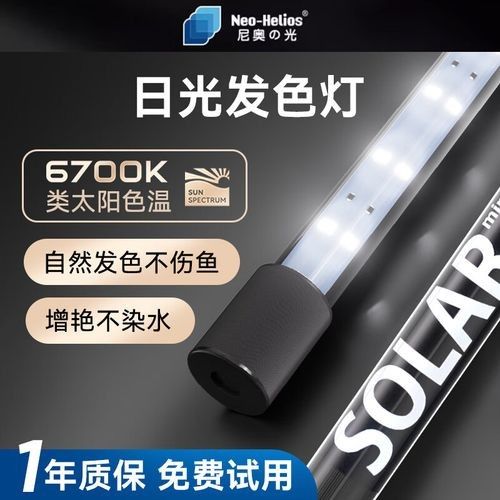 龍魚缸用什么燈比較好一點兒