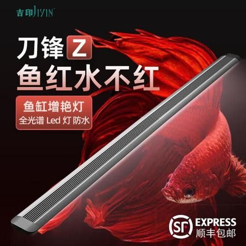 龍魚缸用什么燈比較好一點兒