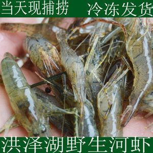龍魚喂白蝦還是青蝦：龍魚可以喂食白蝦還是青蝦？ 龍魚喂白蝦還是青蝦：龍魚可以喂食白蝦還是青蝦？ 龍魚百科 第1張