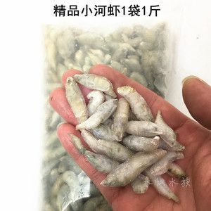 龍魚喂白蝦還是青蝦：龍魚可以喂食白蝦還是青蝦？ 龍魚喂白蝦還是青蝦：龍魚可以喂食白蝦還是青蝦？ 龍魚百科 第2張