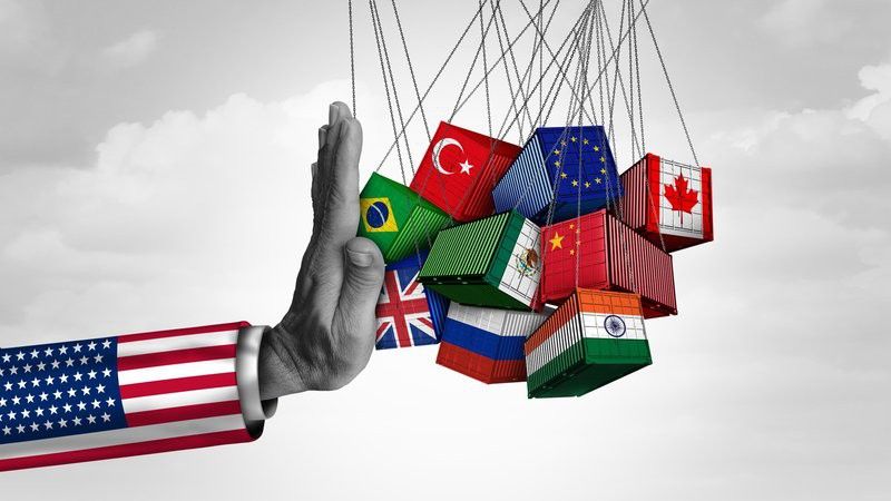 金龍魚市場價格歷史走勢