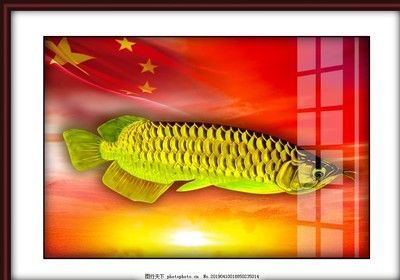 金龍魚壁畫好嗎：金龍魚壁畫在美學和寓意上都給人帶來積極的感受 金龍魚壁畫好嗎：金龍魚壁畫在美學和寓意上都給人帶來積極的感受 龍魚百科 第1張