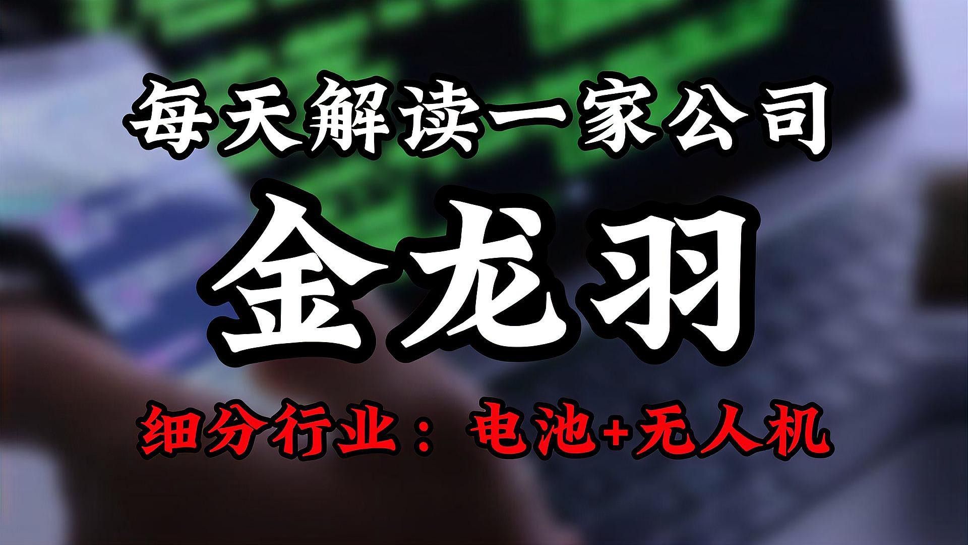 金龍羽未來還有哪些投資計劃？