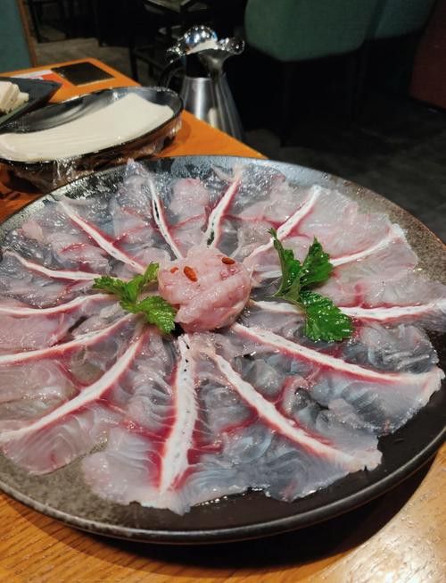 拉薩龍魚專賣店