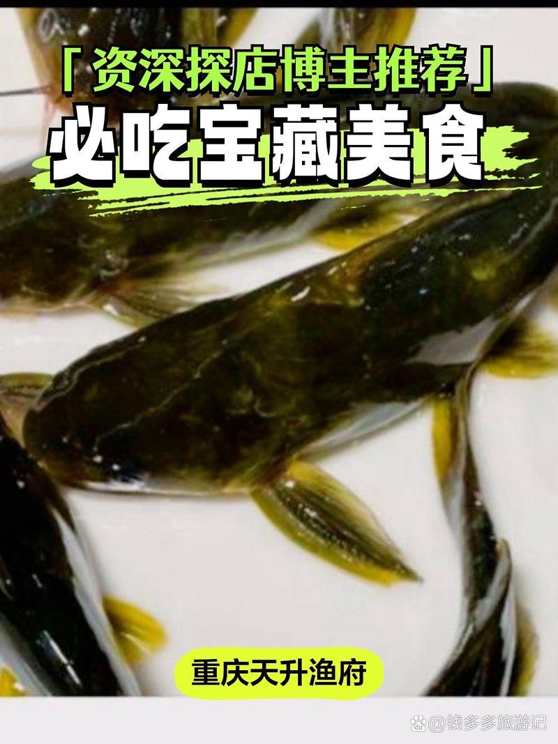 拉薩龍魚專賣店