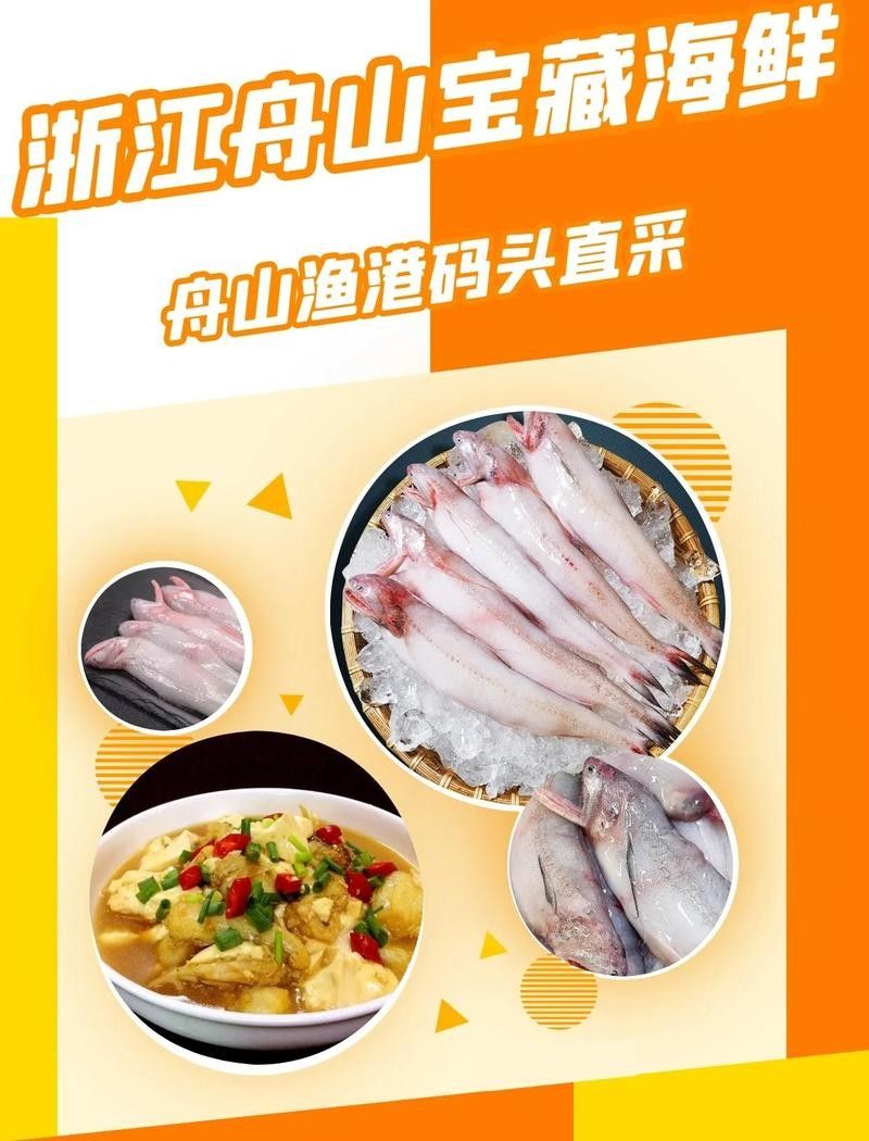 龍頭魚在哪些地區(qū)受歡迎？