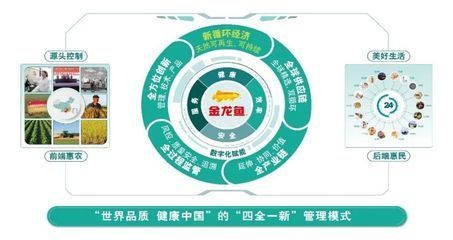 金龍魚的牌子有哪些系列的：金龍魚醬油的釀造工藝介紹
