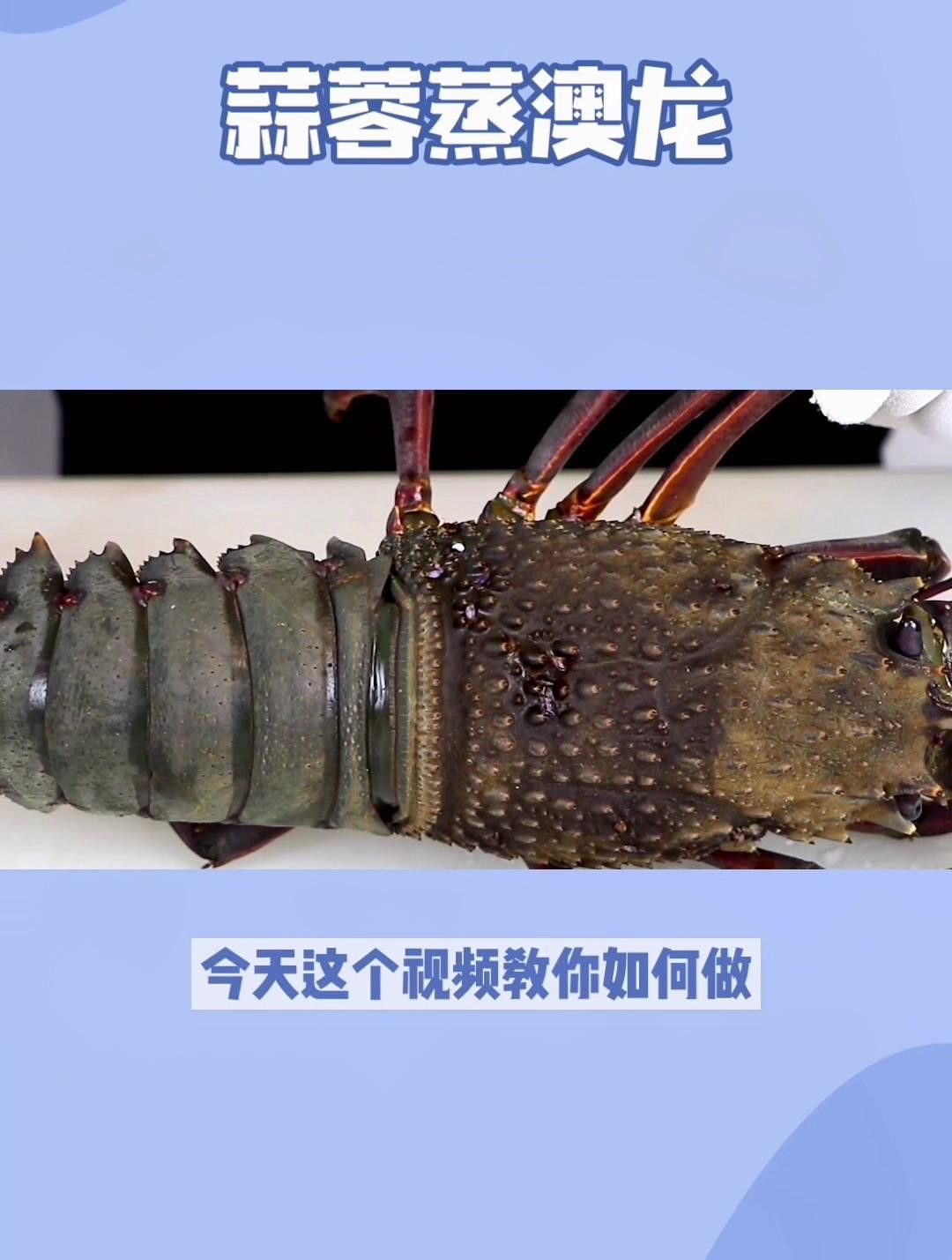 還有哪些澳龍的做法？