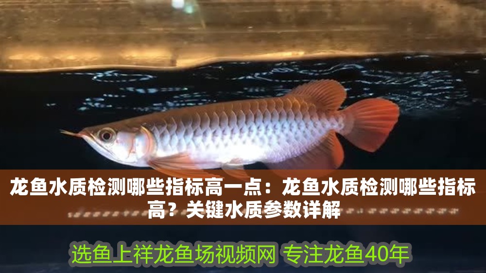 龍魚水質(zhì)檢測(cè)哪些指標(biāo)高一點(diǎn)：龍魚水質(zhì)檢測(cè)哪些指標(biāo)高？關(guān)鍵水質(zhì)參數(shù)詳解