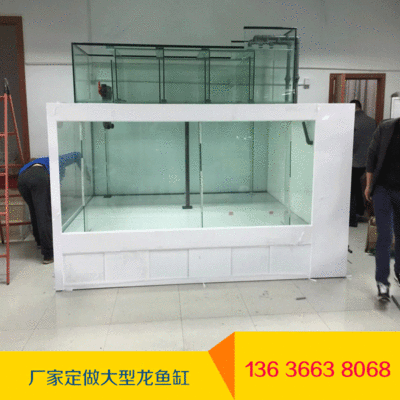 養龍魚需要多大缸：養龍魚需要多大缸？