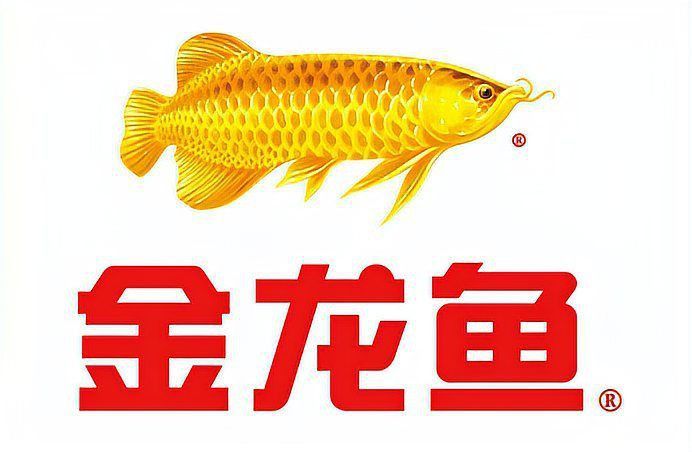 金龍魚全稱