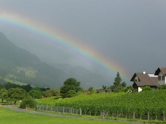 金龍魚(yú)福建經(jīng)銷商有哪些（金龍魚(yú)在福建地區(qū)擁有強(qiáng)大的經(jīng)銷商網(wǎng)絡(luò)金龍魚(yú)品牌信任度調(diào)查報(bào)告）