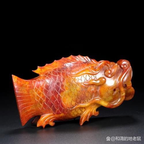 化骨龍魚圖片高清圖