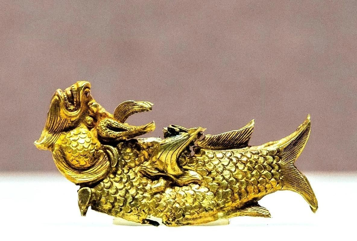 化骨龍魚圖片高清圖