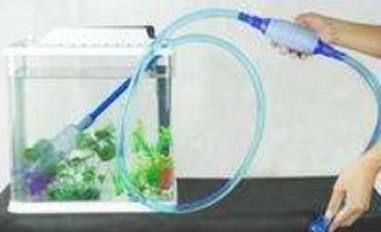 魚缸里的水發白不清澈是什么原因（如何正確使用水質處理劑魚缸過濾系統優化方案）