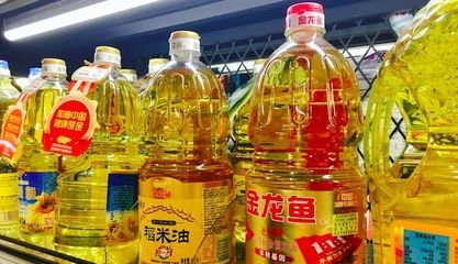 金龍魚家里擺放位置好嗎：金龍魚的擺放位置