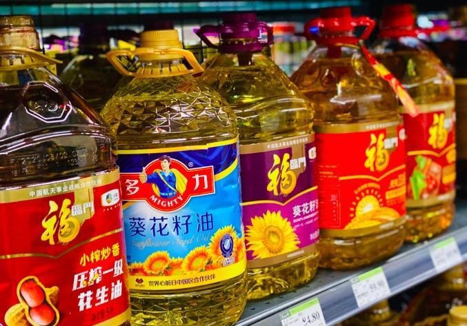 金龍魚家里擺放位置好嗎：金龍魚的擺放位置