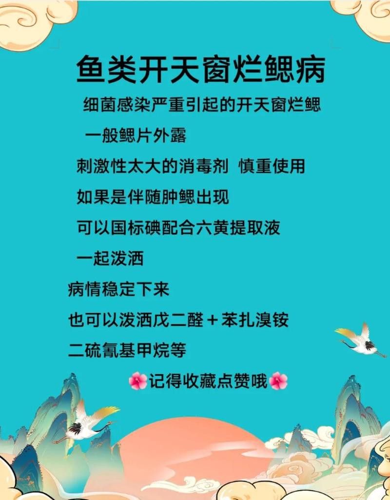 如何預防龍魚寄生蟲性爛鰓病？