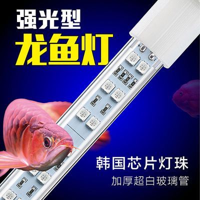 龍魚用什么加熱棒：龍魚加熱棒的選擇建議一升水應該配置1.5瓦-2瓦的加熱棒