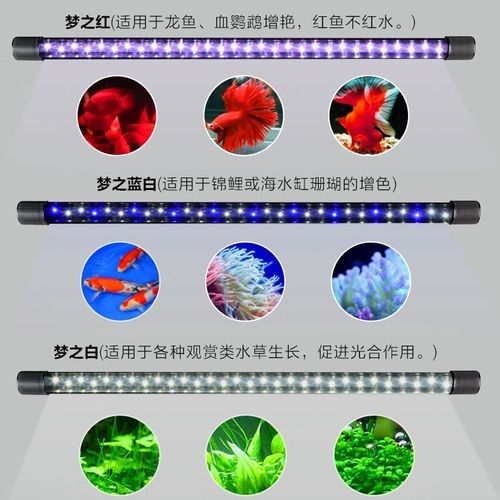 龍魚專用燈管圖片大全大圖