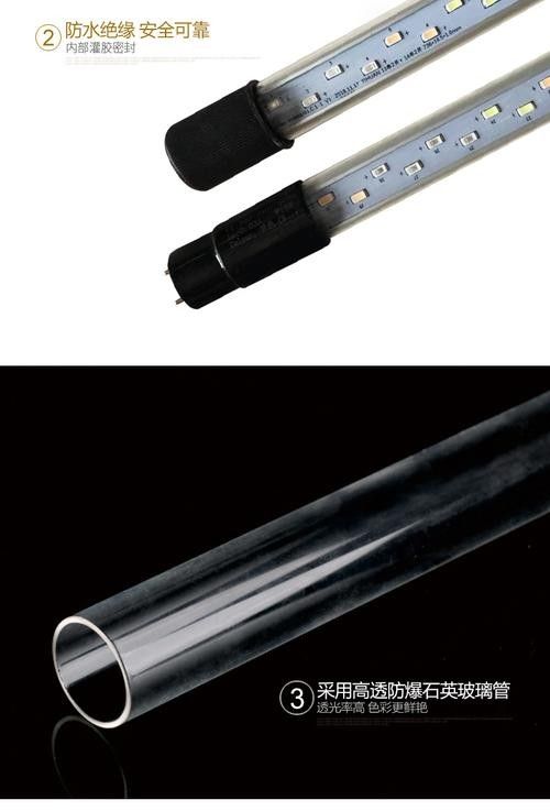 龍魚專用燈管圖片大全大圖