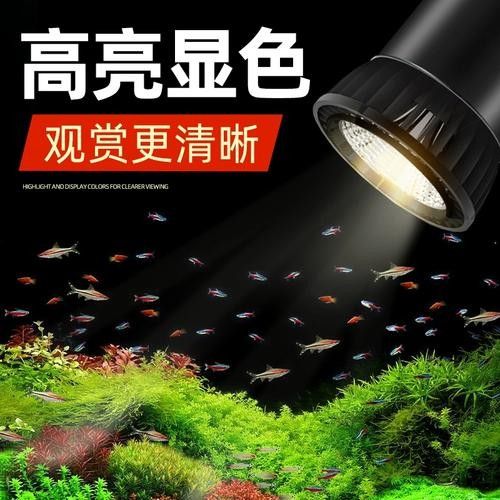 龍魚專用燈管圖片大全大圖