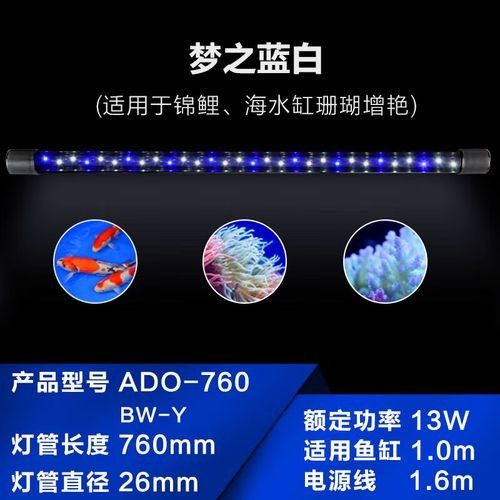 龍魚專用燈管圖片大全大圖