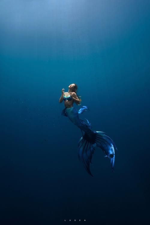 美人魚圖片100張