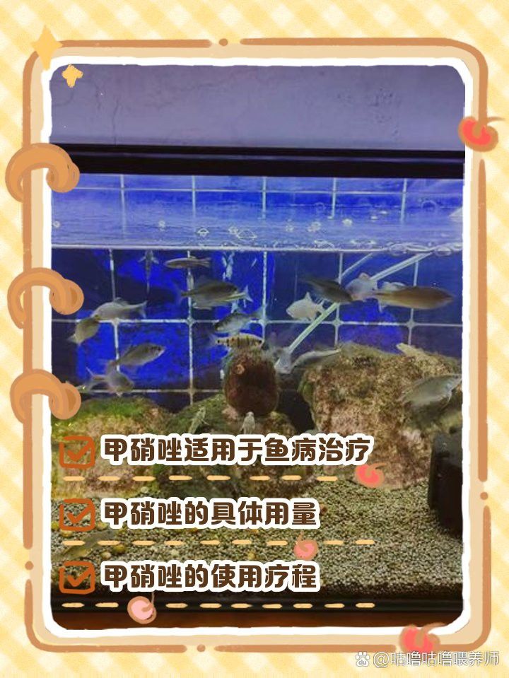 甲硝唑片治療龍魚腸炎的用量