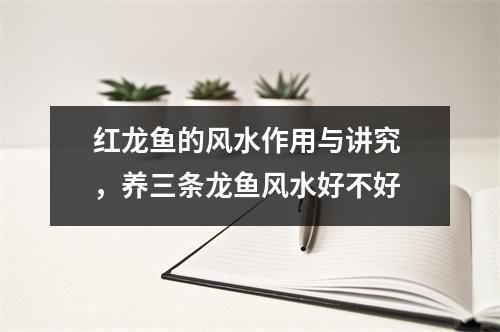 紅龍魚的作用與用途：紅龍魚養殖技巧分享，紅龍魚市場價格趨勢
