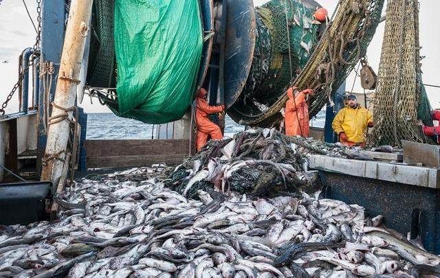 紅龍魚四大漁場排名第幾（紅龍魚四大漁場排名） 紅龍魚四大漁場排名第幾（紅龍魚四大漁場排名） 龍魚百科 第4張