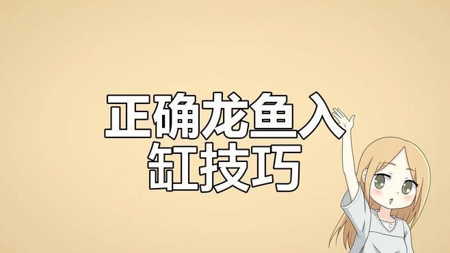 龍魚入缸多久能適應環境