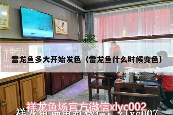 雷龍魚發(fā)色的技巧（喂養(yǎng)頻率,雷龍魚最佳飼養(yǎng)環(huán)境配置,雷龍魚發(fā)色期飼料選擇指南）