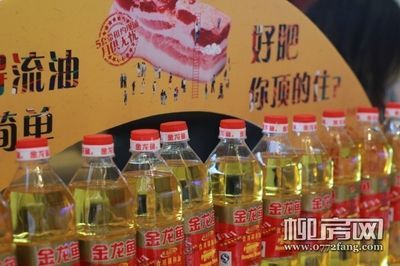 金龍魚招商（金龍魚加盟優勢具體有哪些）