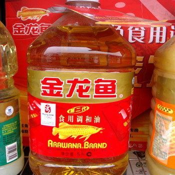 金龍魚招商（金龍魚加盟優勢具體有哪些）