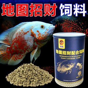龍魚喂飼料好還是魚好吃點呢：龍魚喂食飼料與魚各有優缺點
