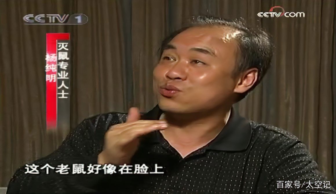 老鼠有靈性嗎 會復仇嗎