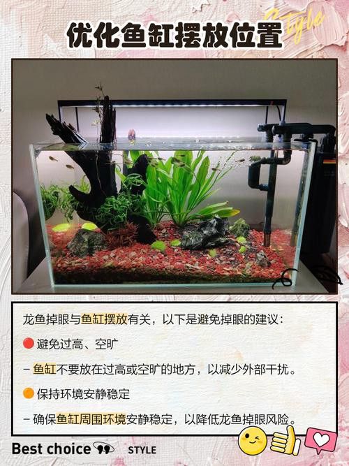 金龍魚掉眼能自己恢復(fù)嗎圖片視頻