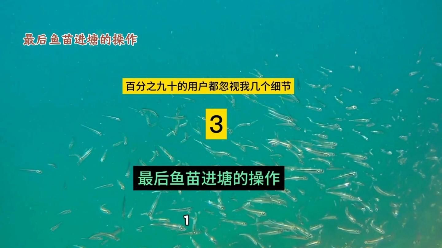 網購魚苗的運輸方式有哪些