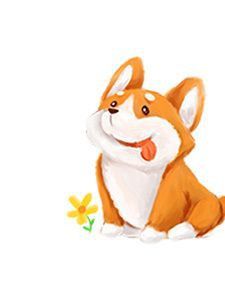 魚身上鱗片脫落身上潰爛怎么辦